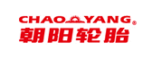 上海網絡營銷策劃公司案例-Chaoyang Tire